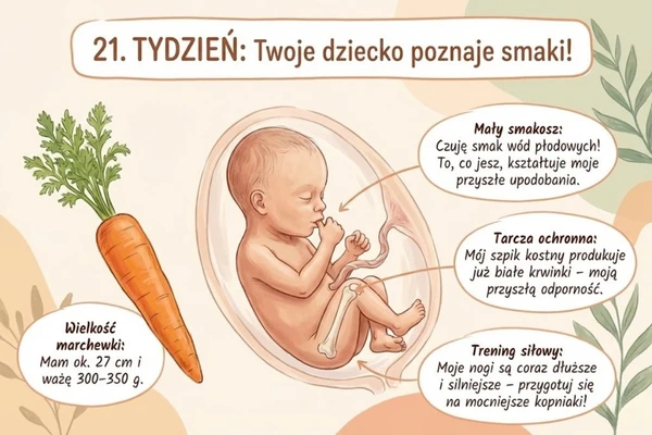 21 tydzień ciąży – rozwój dziecka